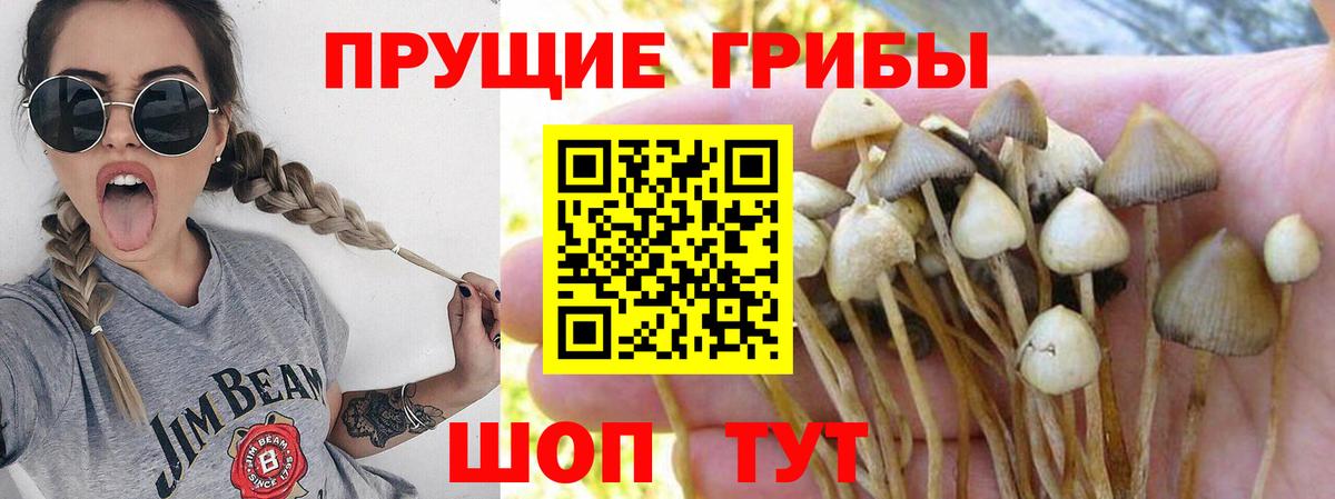 Галлюциногенные грибы Magic Shrooms Красногорск